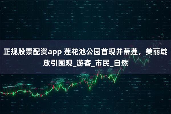 正规股票配资app 莲花池公园首现并蒂莲，美丽绽放引围观_游客_市民_自然