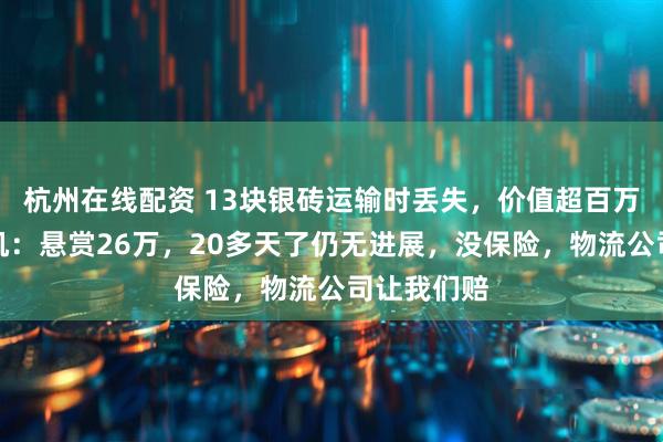 杭州在线配资 13块银砖运输时丢失，价值超百万，货车司机：悬赏26万，20多天了仍无进展，没保险，物流公司让我们赔